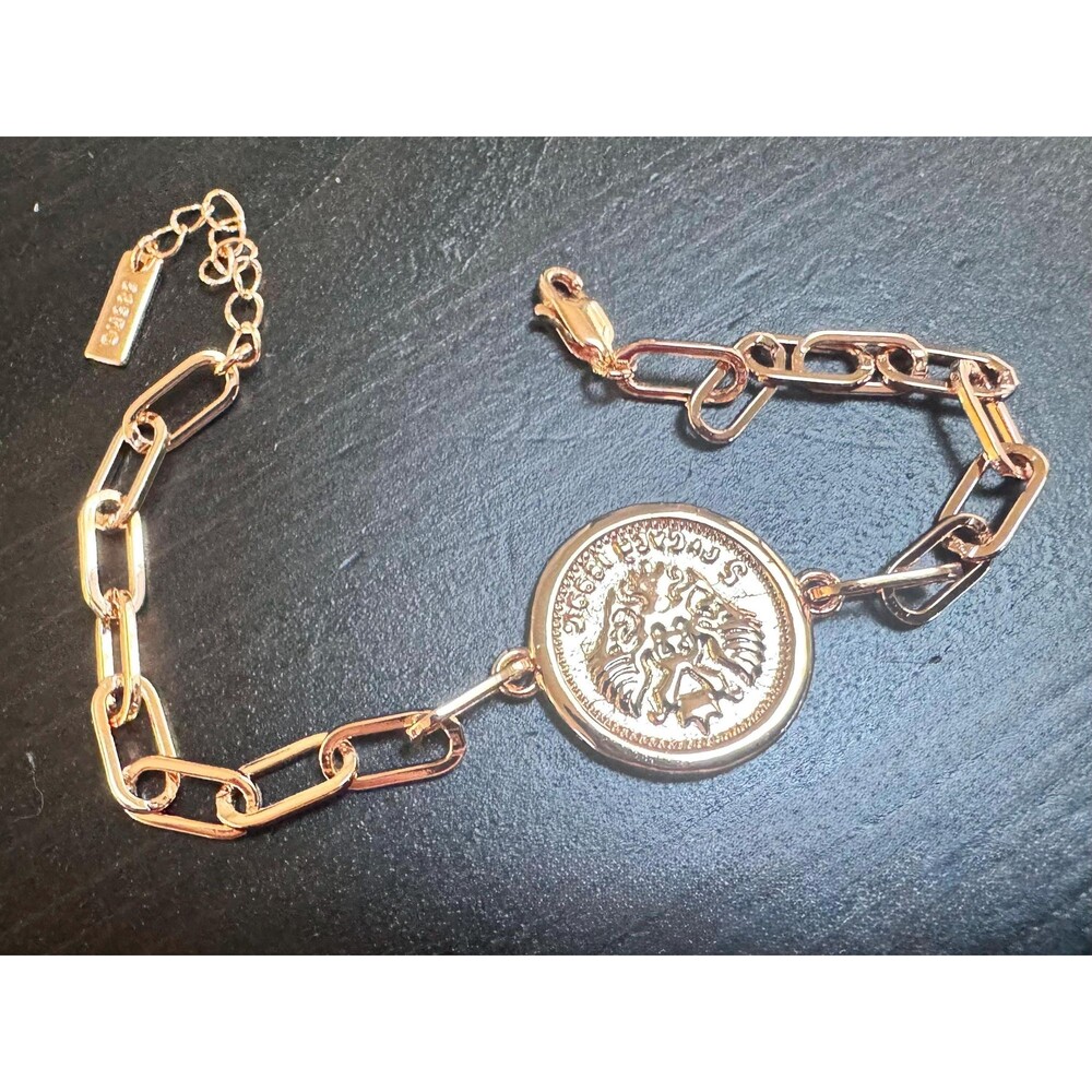 585 14K RG Rolled Gold Stamped Coin Charm Paperclip Adjustable Link Bracelet